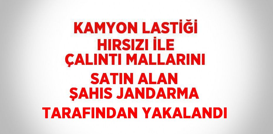 KAMYON LASTİĞİ HIRSIZI İLE ÇALINTI MALLARINI SATIN ALAN ŞAHIS JANDARMA TARAFINDAN YAKALANDI