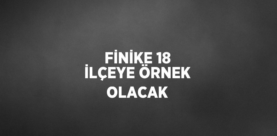 FİNİKE 18 İLÇEYE ÖRNEK OLACAK