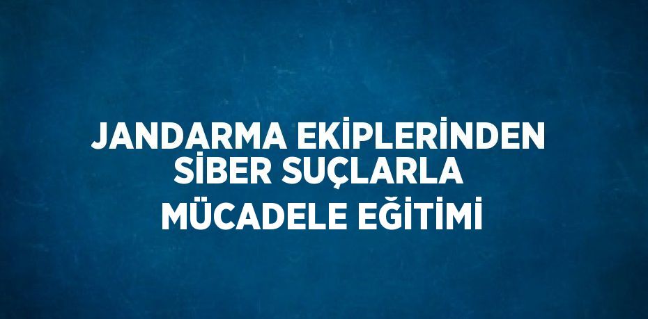 JANDARMA EKİPLERİNDEN SİBER SUÇLARLA MÜCADELE EĞİTİMİ