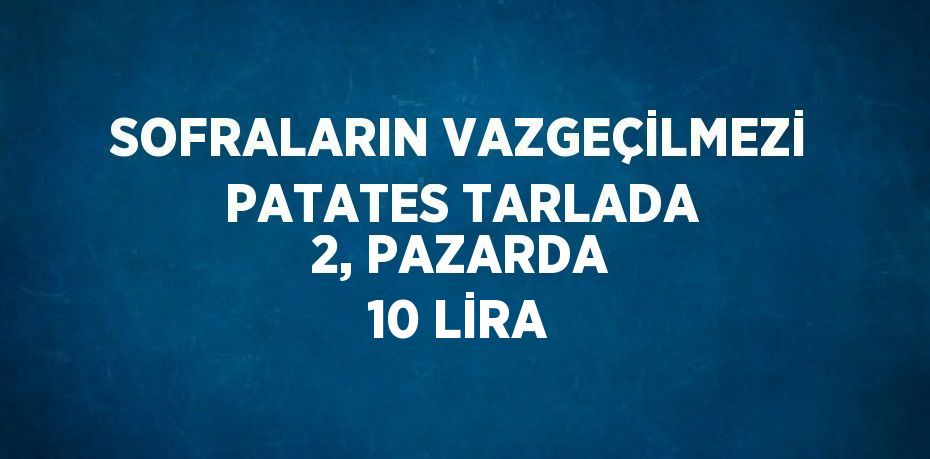 SOFRALARIN VAZGEÇİLMEZİ PATATES TARLADA 2, PAZARDA 10 LİRA