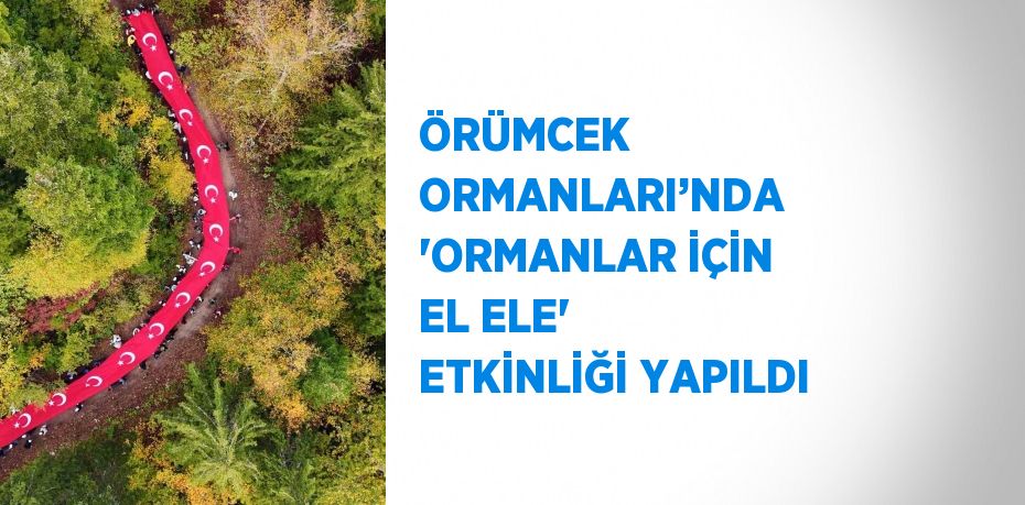 ÖRÜMCEK ORMANLARI’NDA 'ORMANLAR İÇİN EL ELE' ETKİNLİĞİ YAPILDI