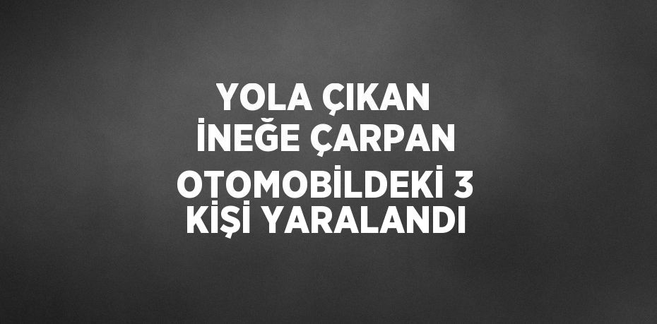 YOLA ÇIKAN İNEĞE ÇARPAN OTOMOBİLDEKİ 3 KİŞİ YARALANDI