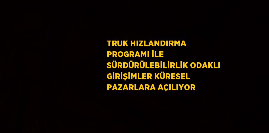 TRUK HIZLANDIRMA PROGRAMI İLE SÜRDÜRÜLEBİLİRLİK ODAKLI GİRİŞİMLER KÜRESEL PAZARLARA AÇILIYOR