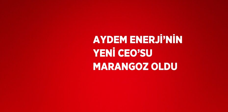 AYDEM ENERJİ’NİN YENİ CEO’SU MARANGOZ OLDU