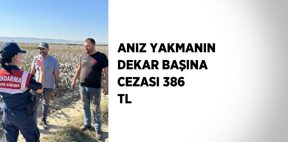 ANIZ YAKMANIN DEKAR BAŞINA CEZASI 386 TL