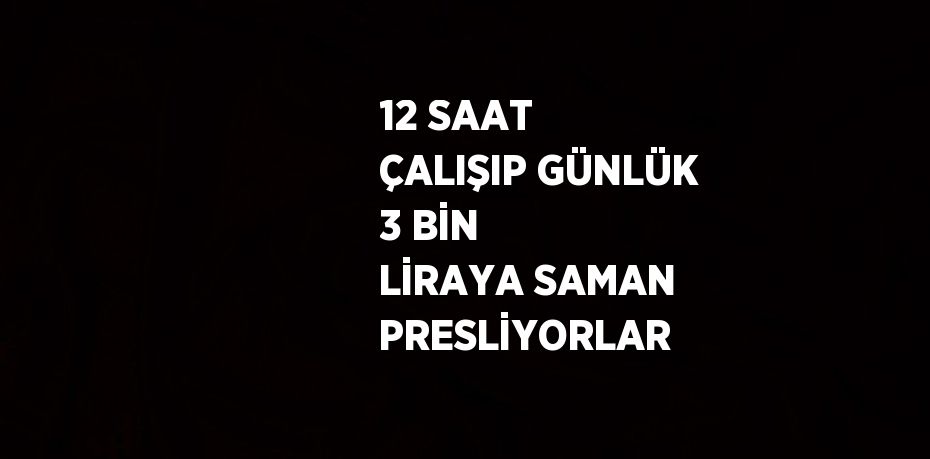 12 SAAT ÇALIŞIP GÜNLÜK 3 BİN LİRAYA SAMAN PRESLİYORLAR