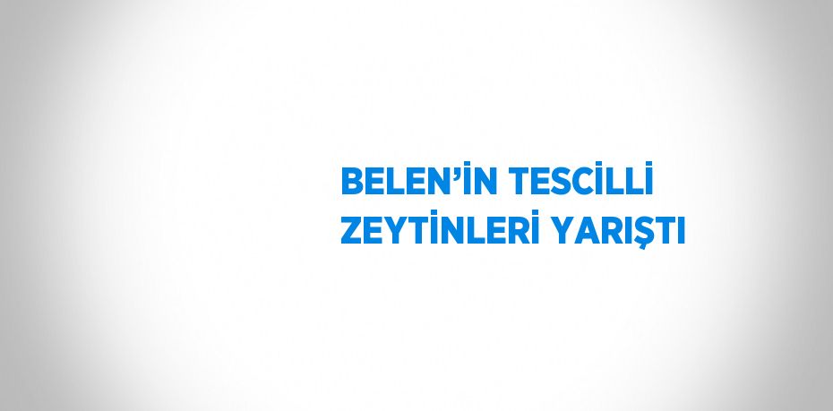 BELEN’İN TESCİLLİ ZEYTİNLERİ YARIŞTI