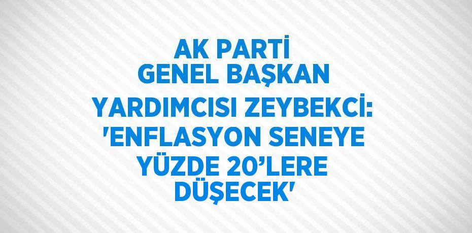 AK PARTİ GENEL BAŞKAN YARDIMCISI ZEYBEKCİ: 'ENFLASYON SENEYE YÜZDE 20’LERE DÜŞECEK'