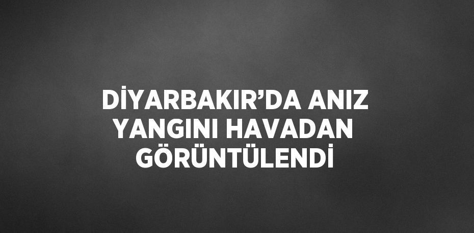 DİYARBAKIR’DA ANIZ YANGINI HAVADAN GÖRÜNTÜLENDİ