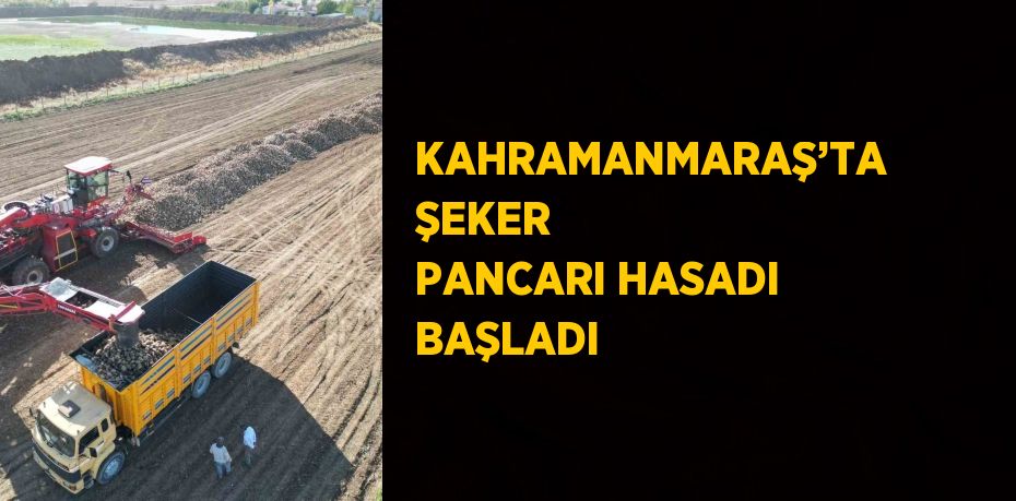 KAHRAMANMARAŞ’TA ŞEKER PANCARI HASADI BAŞLADI