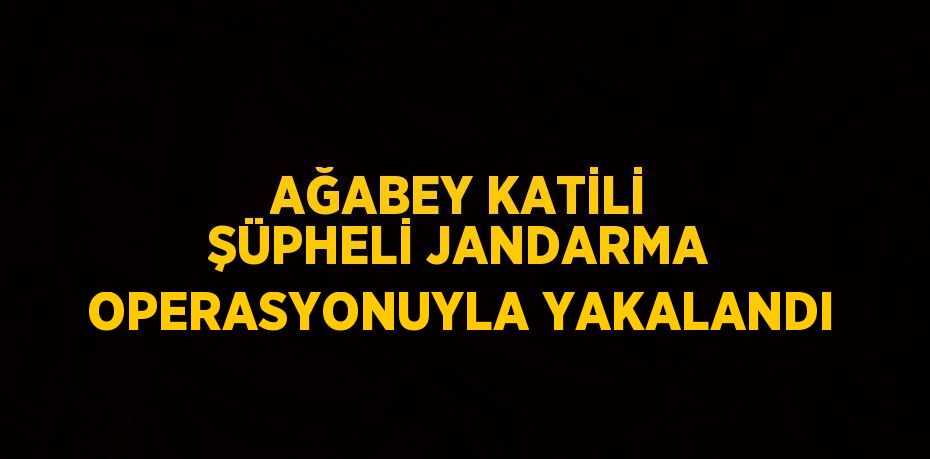 AĞABEY KATİLİ ŞÜPHELİ JANDARMA OPERASYONUYLA YAKALANDI