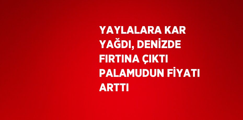 YAYLALARA KAR YAĞDI, DENİZDE FIRTINA ÇIKTI PALAMUDUN FİYATI ARTTI