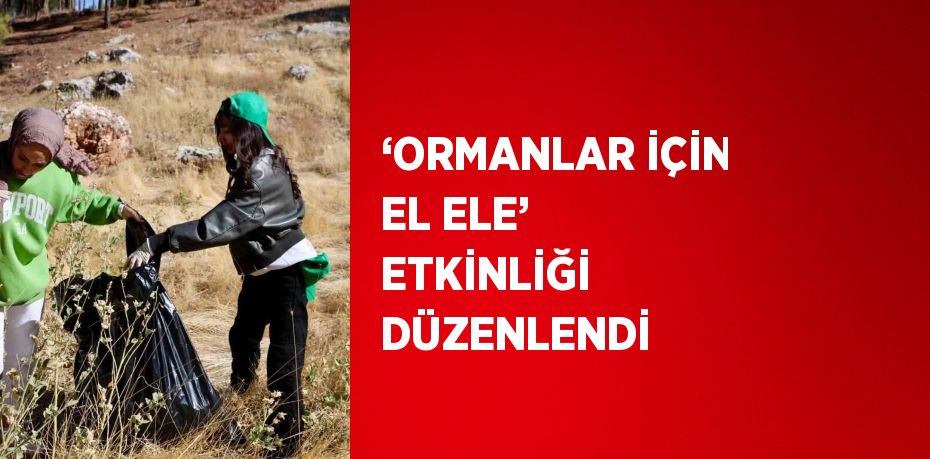 ‘ORMANLAR İÇİN EL ELE’ ETKİNLİĞİ DÜZENLENDİ