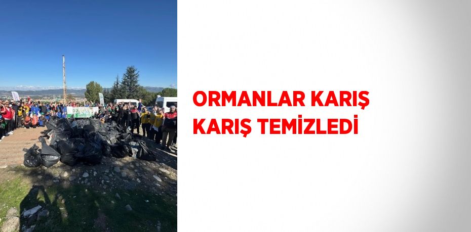 ORMANLAR KARIŞ KARIŞ TEMİZLEDİ