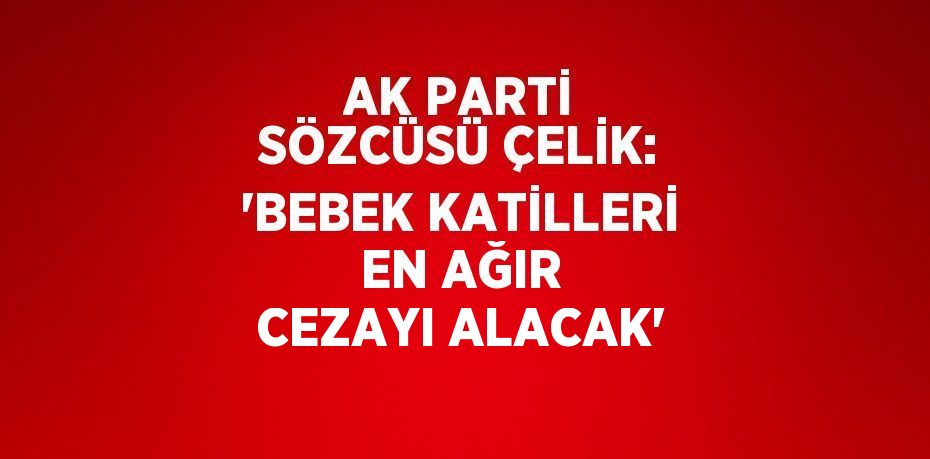 AK PARTİ SÖZCÜSÜ ÇELİK: 'BEBEK KATİLLERİ EN AĞIR CEZAYI ALACAK'