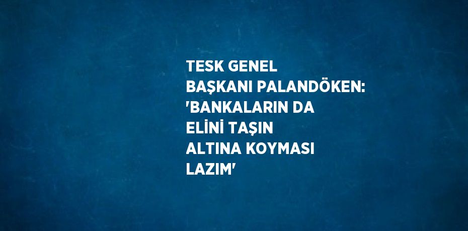 TESK GENEL BAŞKANI PALANDÖKEN: 'BANKALARIN DA ELİNİ TAŞIN ALTINA KOYMASI LAZIM'