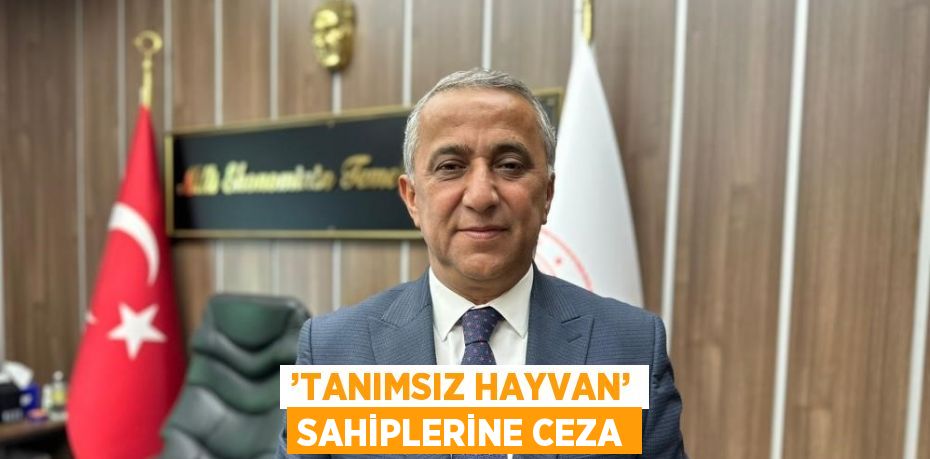 ’TANIMSIZ HAYVAN’ SAHİPLERİNE CEZA