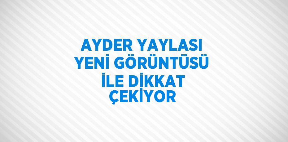 AYDER YAYLASI YENİ GÖRÜNTÜSÜ İLE DİKKAT ÇEKİYOR