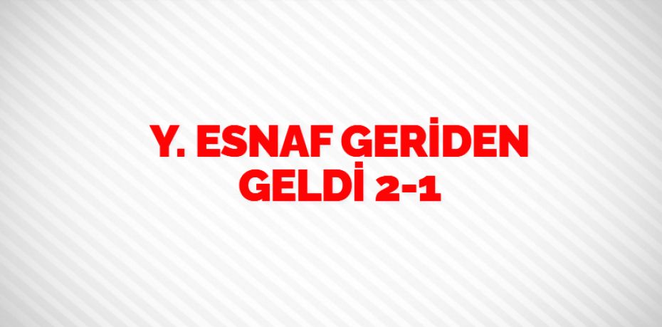 Y. ESNAF GERİDEN GELDİ   2-1