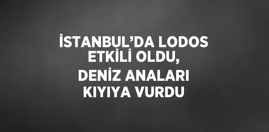 İSTANBUL’DA LODOS ETKİLİ OLDU, DENİZ ANALARI KIYIYA VURDU