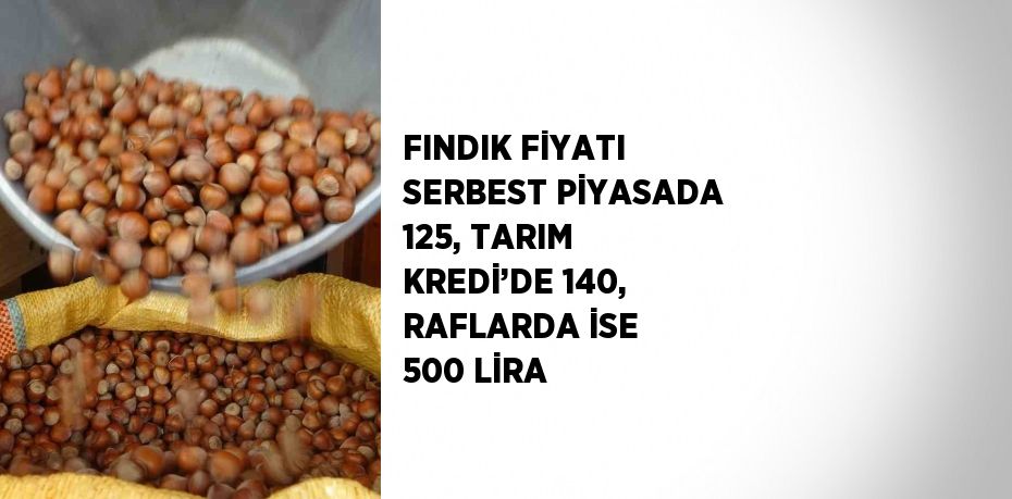 FINDIK FİYATI SERBEST PİYASADA 125, TARIM KREDİ’DE 140, RAFLARDA İSE 500 LİRA