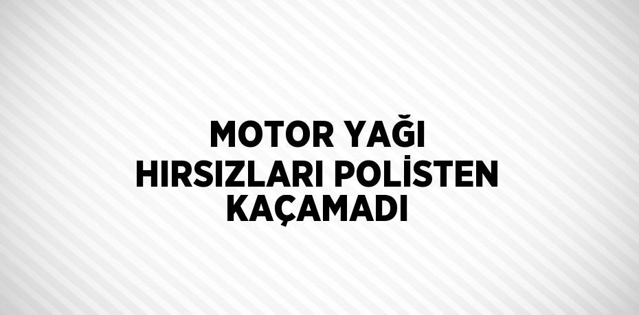 MOTOR YAĞI HIRSIZLARI POLİSTEN KAÇAMADI