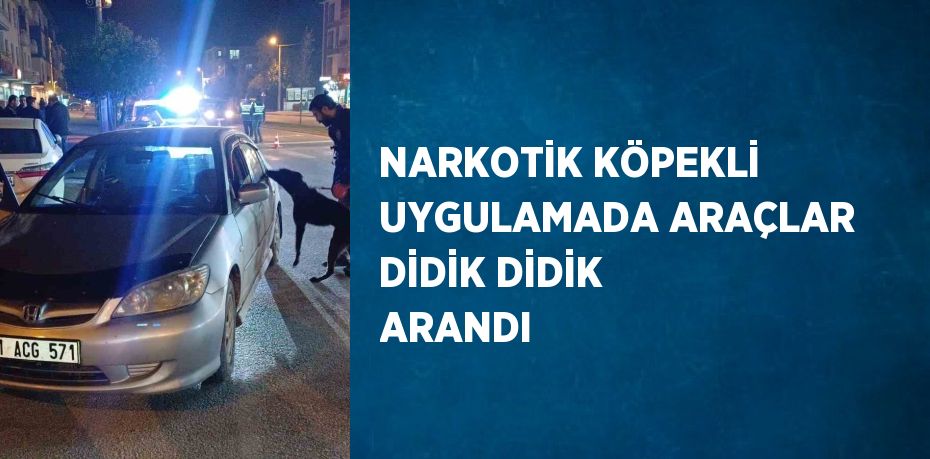 NARKOTİK KÖPEKLİ UYGULAMADA ARAÇLAR DİDİK DİDİK ARANDI