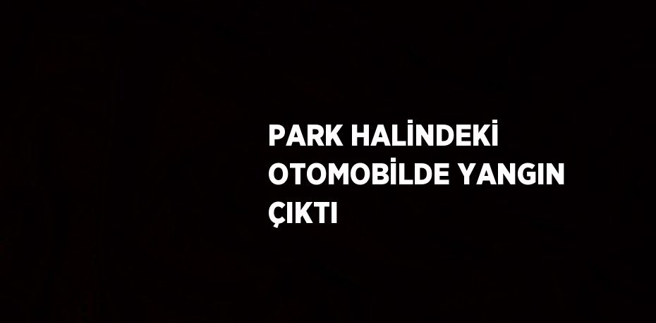 PARK HALİNDEKİ OTOMOBİLDE YANGIN ÇIKTI