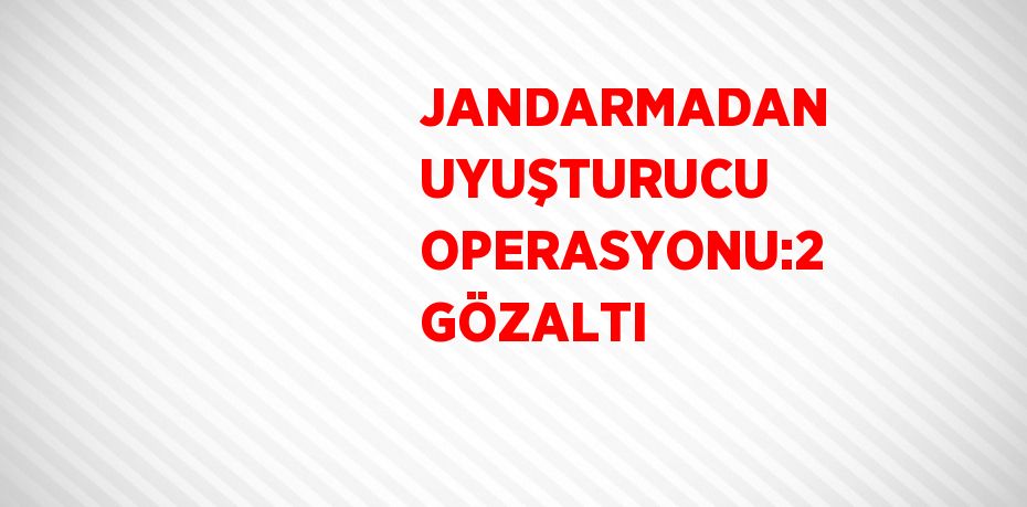 JANDARMADAN UYUŞTURUCU OPERASYONU:2 GÖZALTI