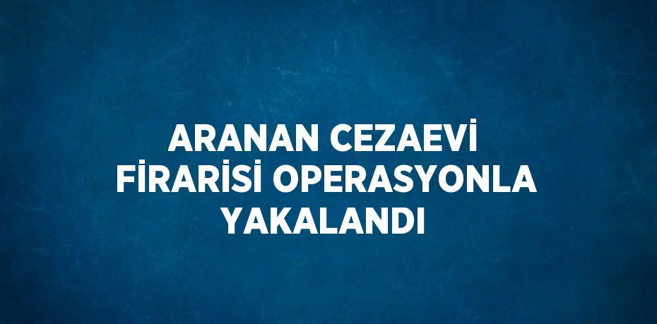 ARANAN CEZAEVİ FİRARİSİ OPERASYONLA YAKALANDI