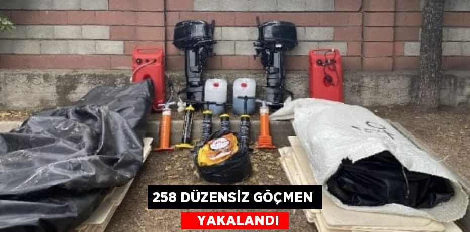 258 DÜZENSİZ GÖÇMEN    YAKALANDI