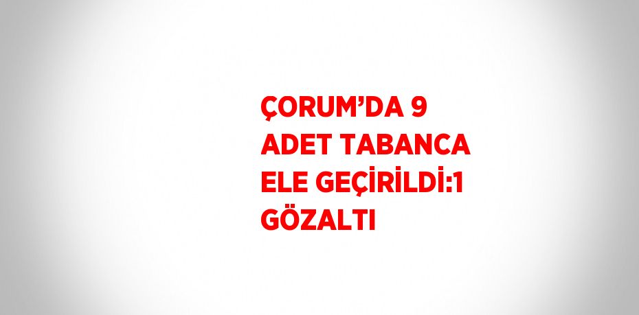 ÇORUM’DA 9 ADET TABANCA ELE GEÇİRİLDİ:1 GÖZALTI