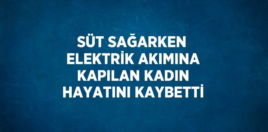 SÜT SAĞARKEN ELEKTRİK AKIMINA KAPILAN KADIN HAYATINI KAYBETTİ