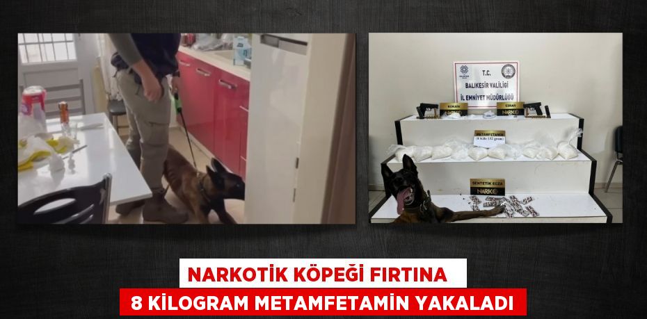 NARKOTİK KÖPEĞİ FIRTINA    8 KİLOGRAM METAMFETAMİN YAKALADI