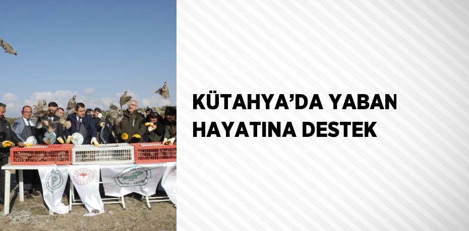 KÜTAHYA’DA YABAN HAYATINA DESTEK