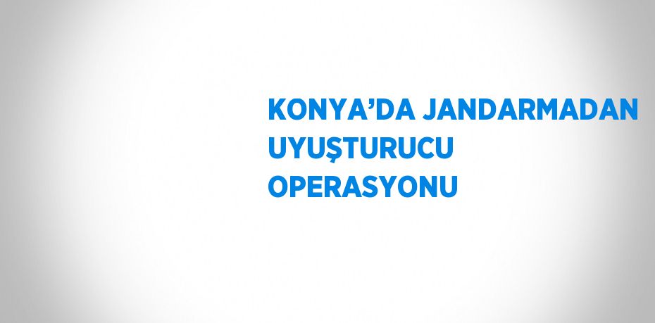 KONYA’DA JANDARMADAN UYUŞTURUCU OPERASYONU