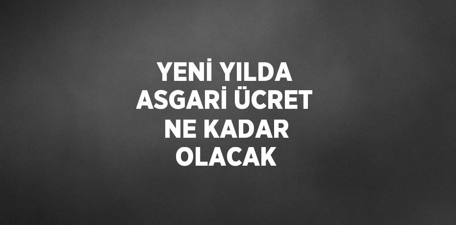 YENİ YILDA ASGARİ ÜCRET NE KADAR OLACAK