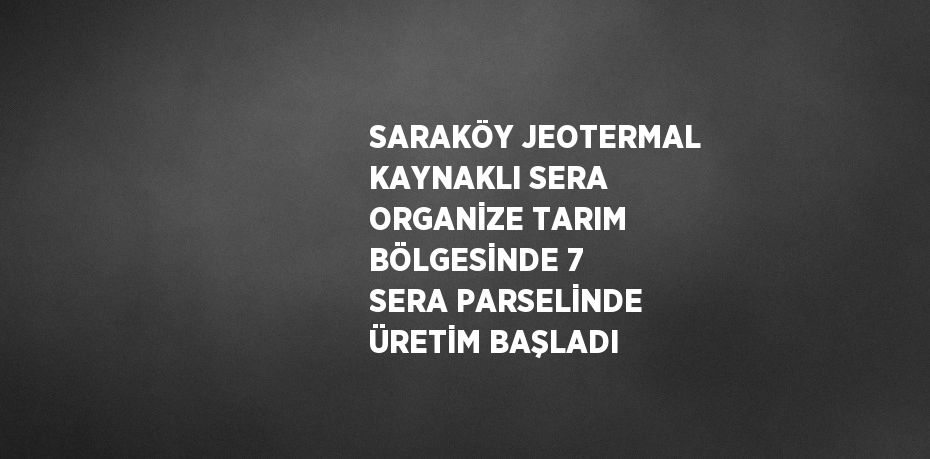 SARAKÖY JEOTERMAL KAYNAKLI SERA ORGANİZE TARIM BÖLGESİNDE 7 SERA PARSELİNDE ÜRETİM BAŞLADI