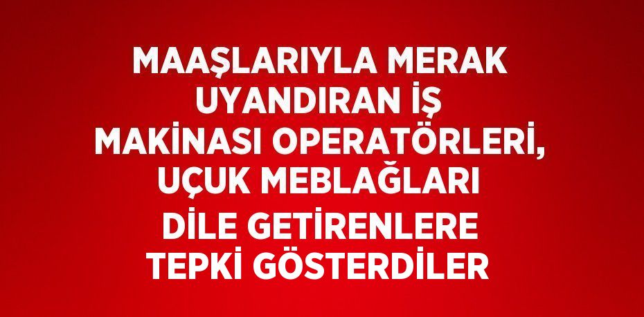 MAAŞLARIYLA MERAK UYANDIRAN İŞ MAKİNASI OPERATÖRLERİ, UÇUK MEBLAĞLARI DİLE GETİRENLERE TEPKİ GÖSTERDİLER