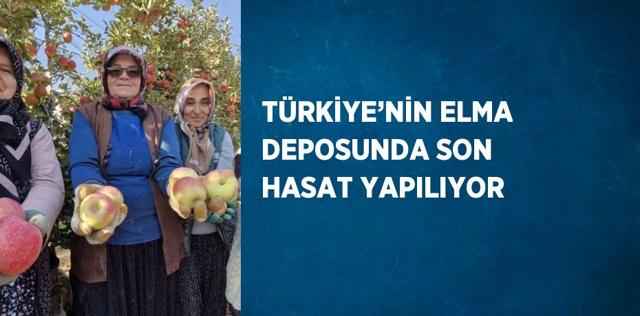 TÜRKİYE’NİN ELMA DEPOSUNDA SON HASAT YAPILIYOR