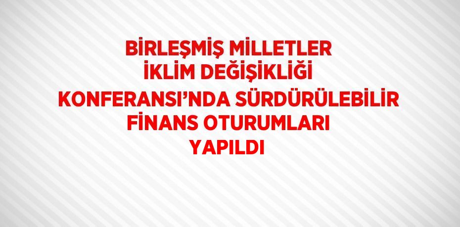 BİRLEŞMİŞ MİLLETLER İKLİM DEĞİŞİKLİĞİ KONFERANSI’NDA SÜRDÜRÜLEBİLİR FİNANS OTURUMLARI YAPILDI