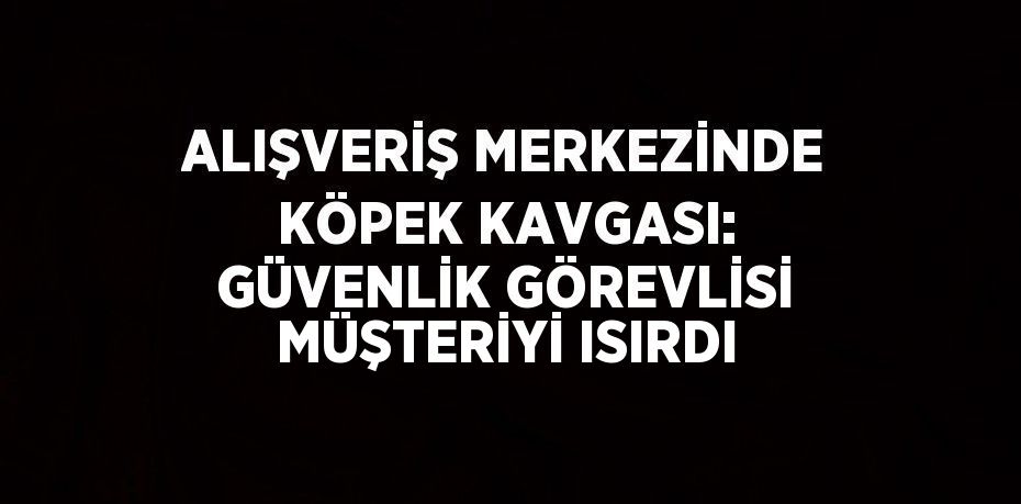 ALIŞVERİŞ MERKEZİNDE KÖPEK KAVGASI: GÜVENLİK GÖREVLİSİ MÜŞTERİYİ ISIRDI