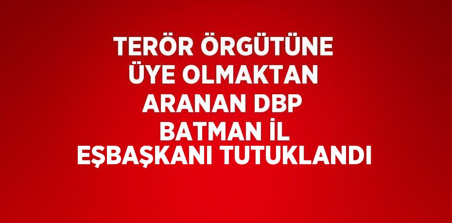 TERÖR ÖRGÜTÜNE ÜYE OLMAKTAN ARANAN DBP BATMAN İL EŞBAŞKANI TUTUKLANDI