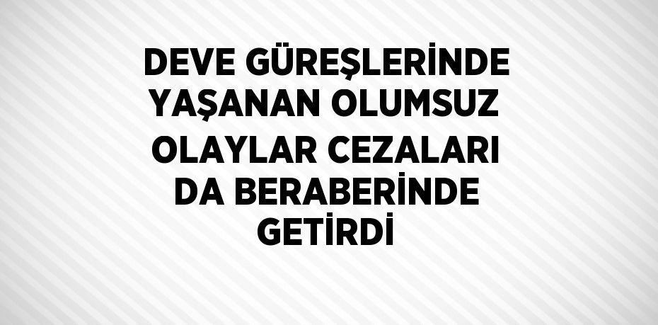 DEVE GÜREŞLERİNDE YAŞANAN OLUMSUZ OLAYLAR CEZALARI DA BERABERİNDE GETİRDİ