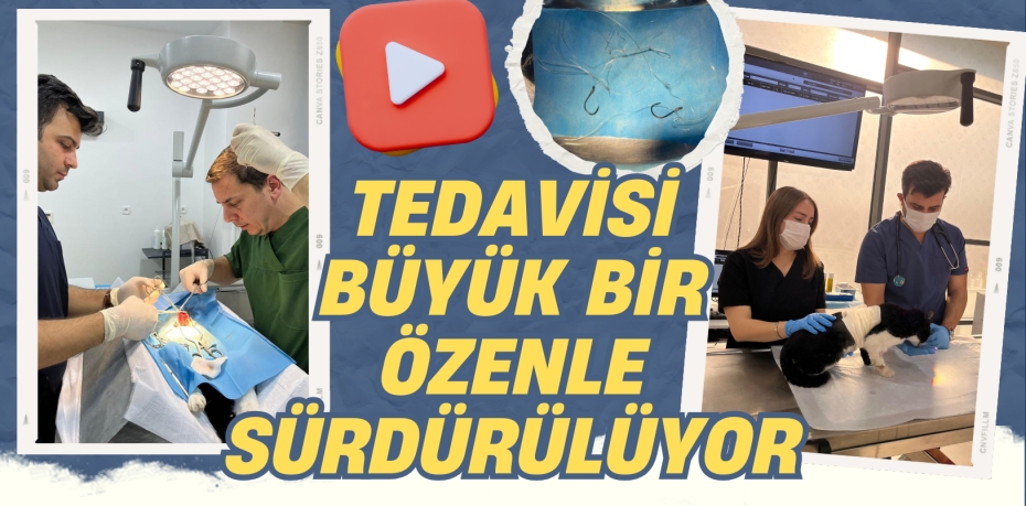 TEDAVİSİ BÜYÜK BİR ÖZENLE SÜRDÜRÜLÜYOR