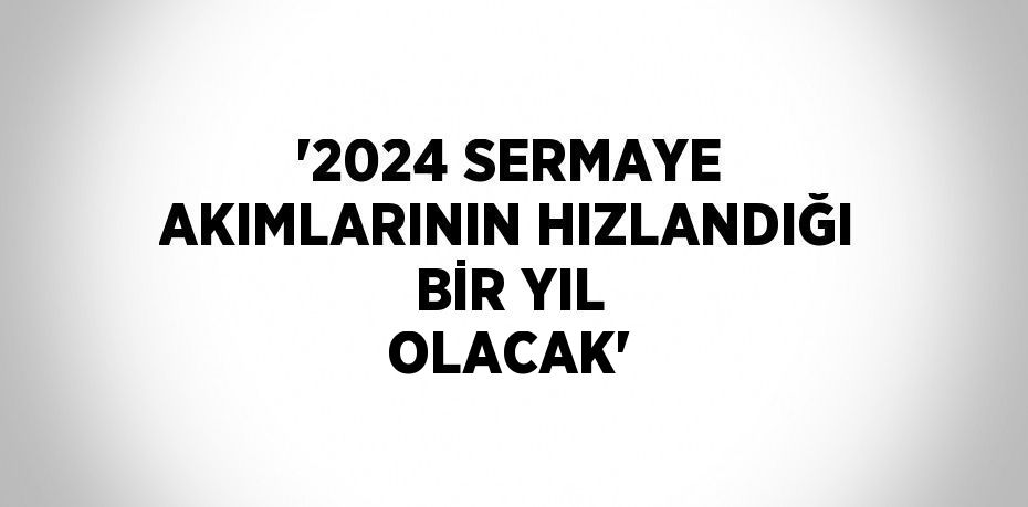 '2024 SERMAYE AKIMLARININ HIZLANDIĞI BİR YIL OLACAK'