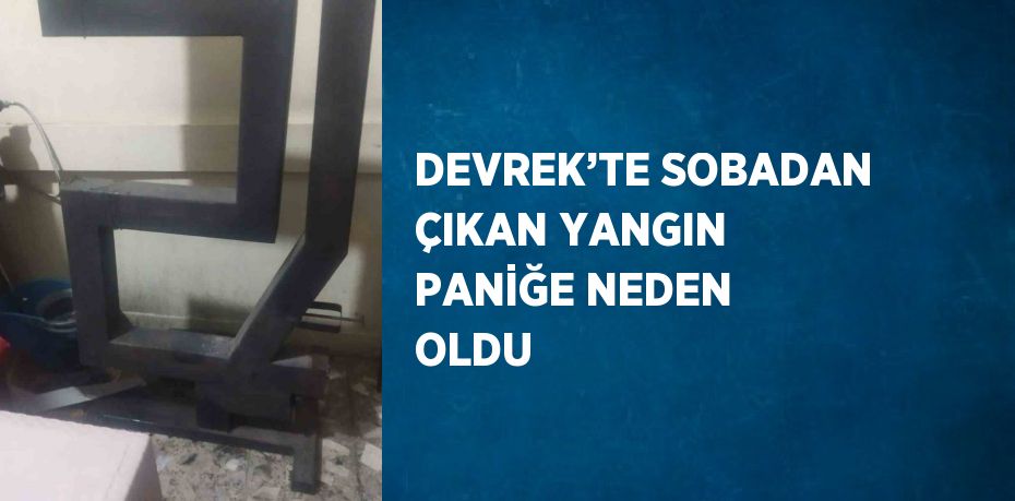 DEVREK’TE SOBADAN ÇIKAN YANGIN PANİĞE NEDEN OLDU