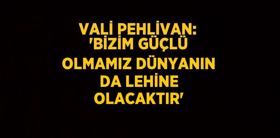 VALİ PEHLİVAN: 'BİZİM GÜÇLÜ OLMAMIZ DÜNYANIN DA LEHİNE OLACAKTIR'