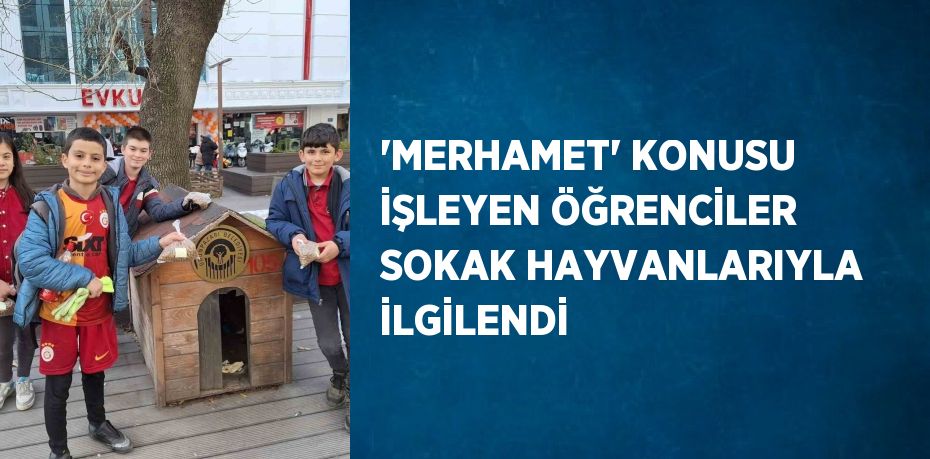 'MERHAMET' KONUSU İŞLEYEN ÖĞRENCİLER SOKAK HAYVANLARIYLA İLGİLENDİ