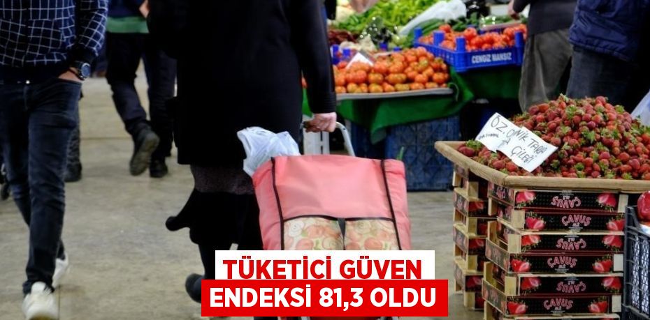 TÜKETİCİ GÜVEN ENDEKSİ 81,3 OLDU